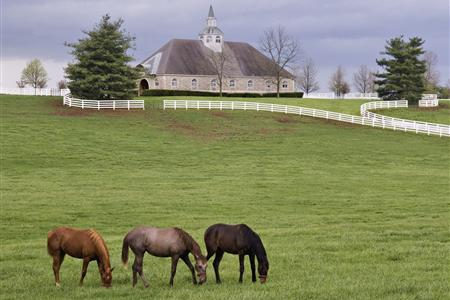 Fire Ant Control for Horse Farms and Equestrian Land